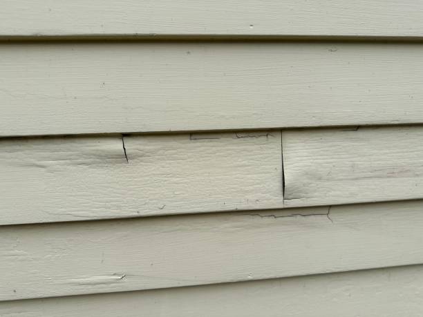 Best Shed Removal  in Ecru, MS